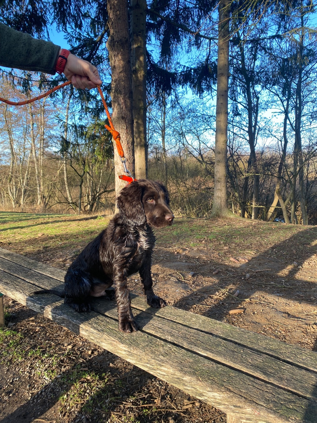 AUSTRAL Du Val Des Houchis