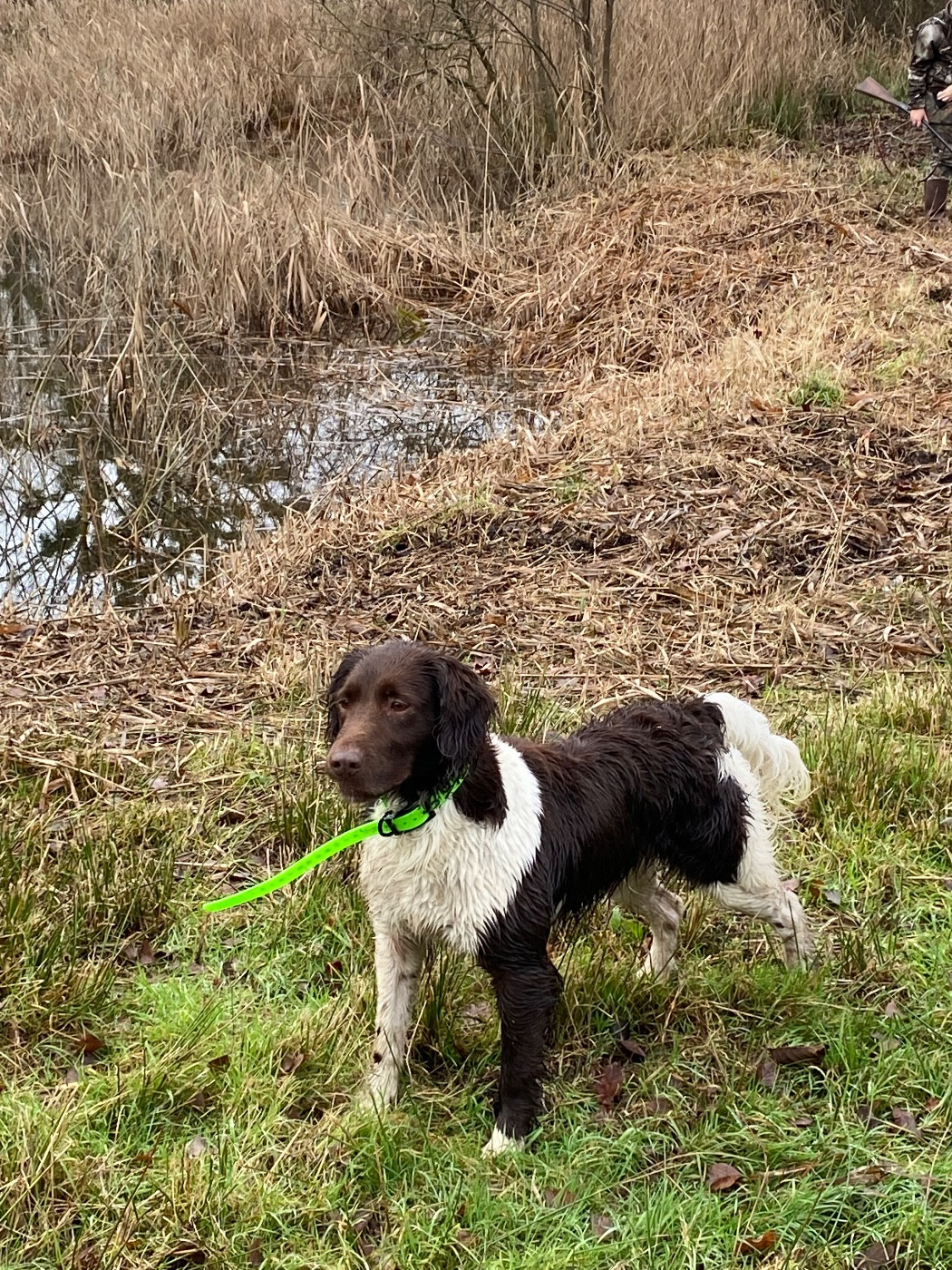 Naya de la Vallée des Converts